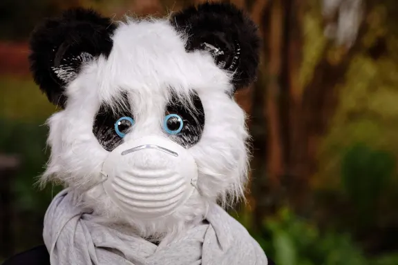 Casino of Dreams Suporte